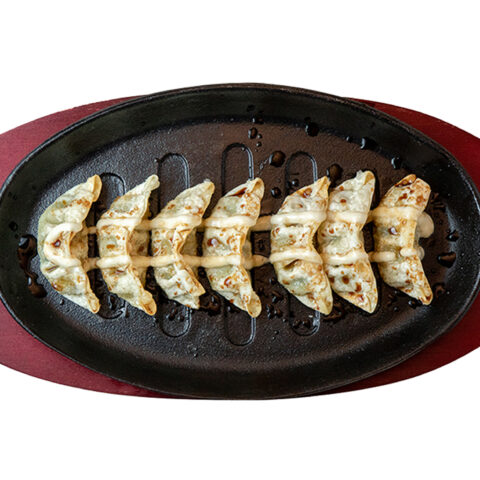 Ravioli Gyoza