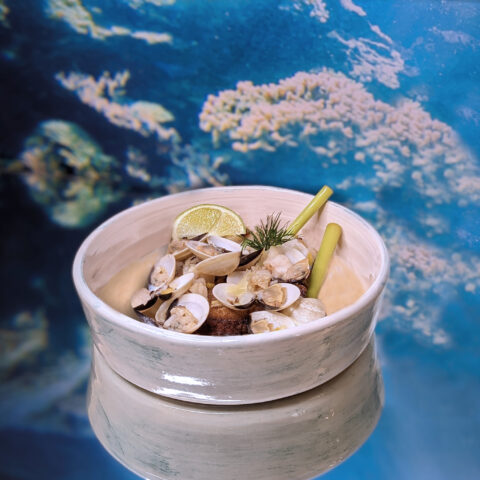 SalutidaPhiPhiIsland_2