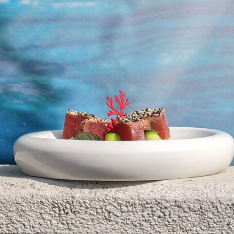 Tataki_fusion