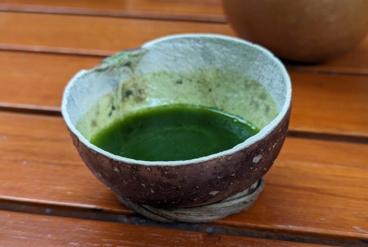 Chaya